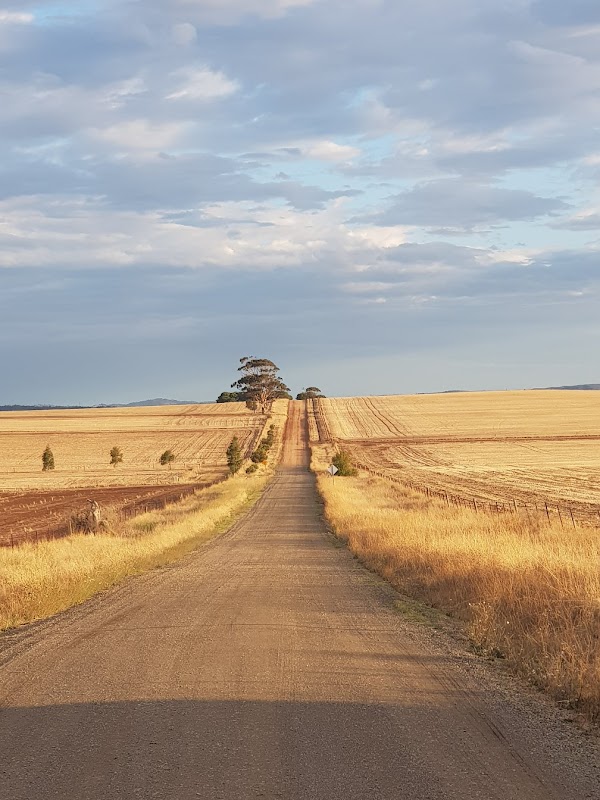 Barossa Valley 5