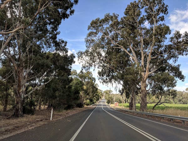 Barossa Valley 4