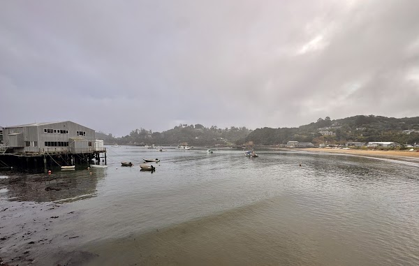 Stewart Island / Rakiura 2