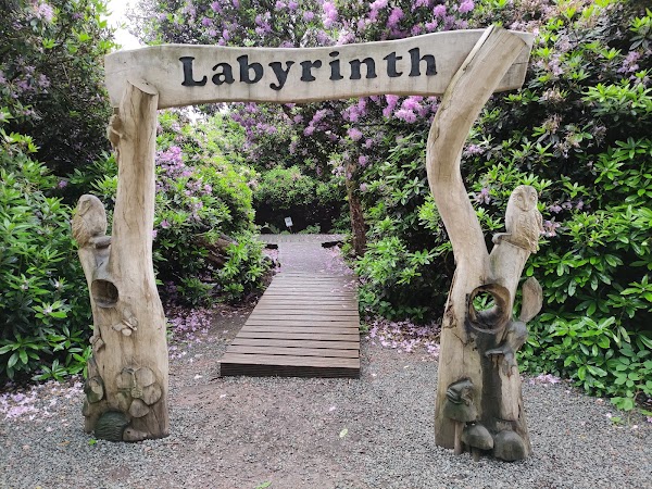Labyrinth 5