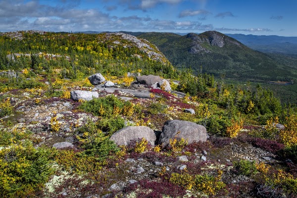 Grands-Jardins National Park