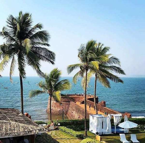 Agonda 2