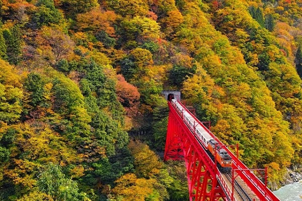 Kurobe Gorge Trolley Train 5