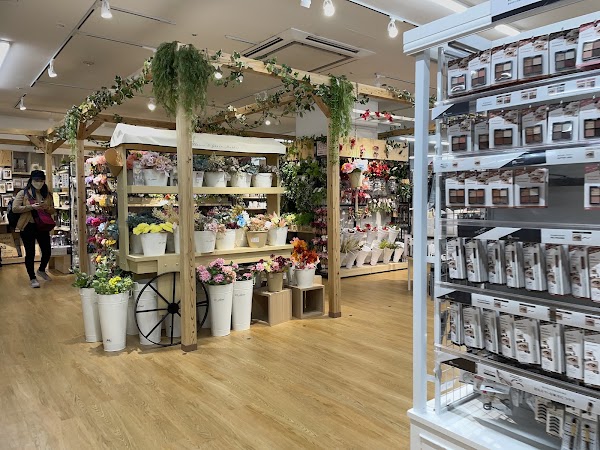 Daiso Marronnier Gate Ginza Store 3