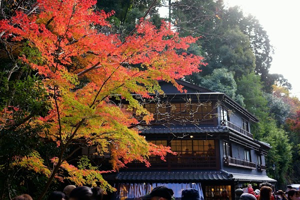 YUZUYA橋本亭