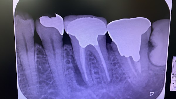 Yuzuriha Dental Clinic 4