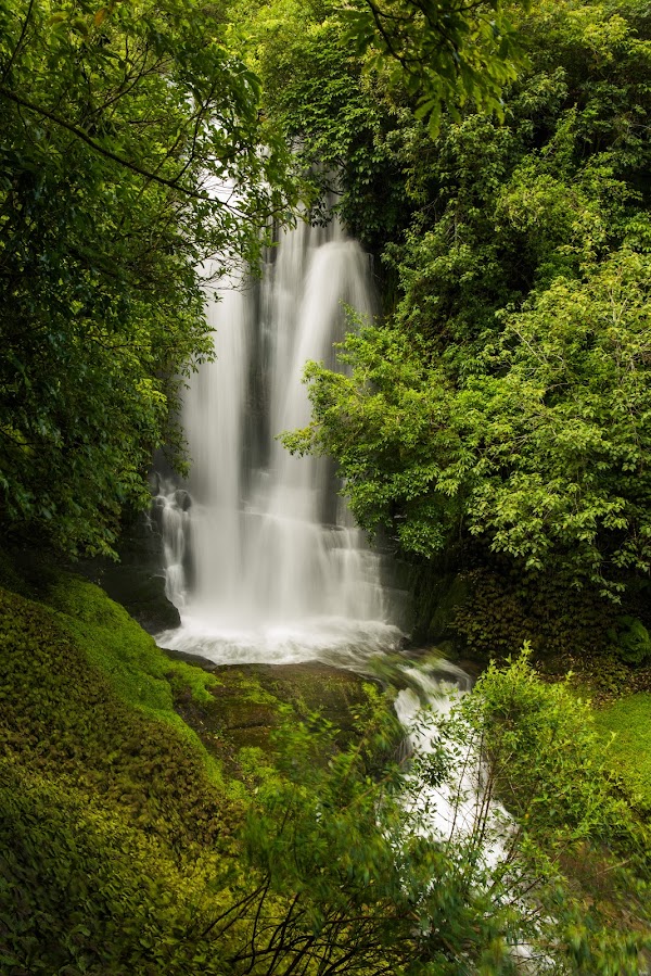Waitanguru Falls 5