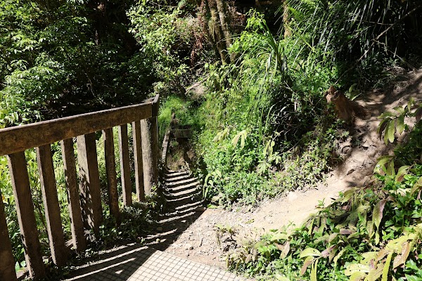 Waitanguru Falls 3
