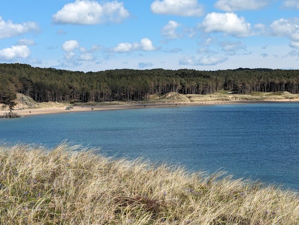 Newborough Forest