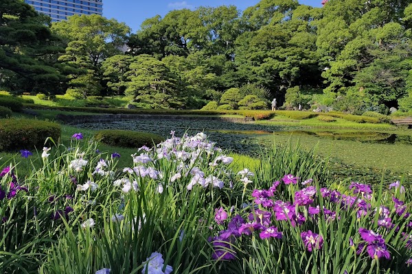 Ninomaru Garden 5