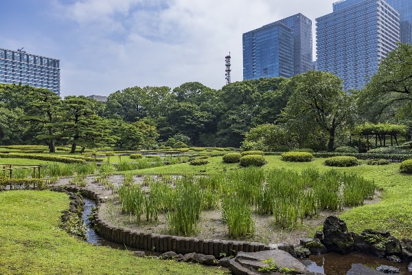 Ninomaru Garden 3