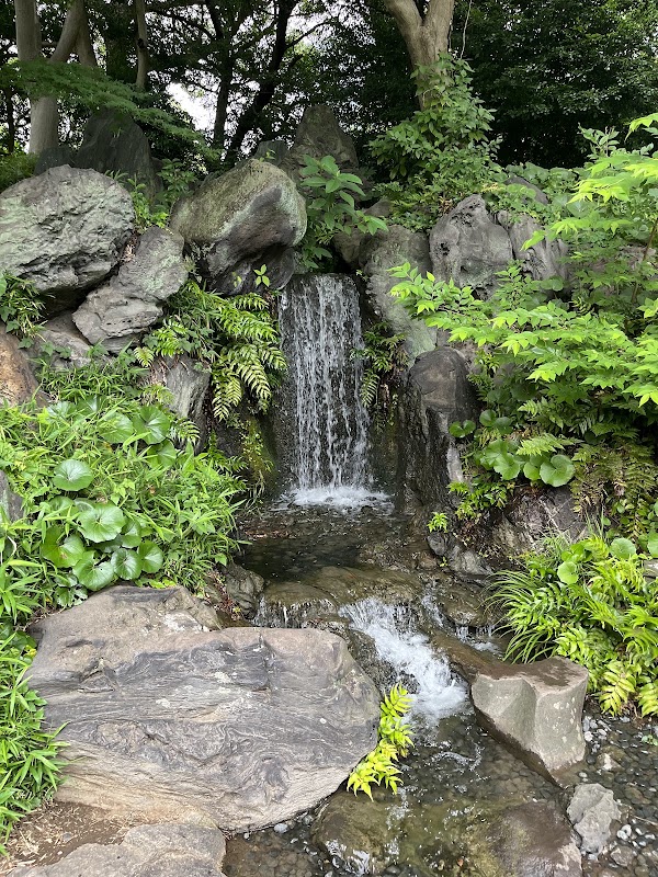 Ninomaru Garden 2