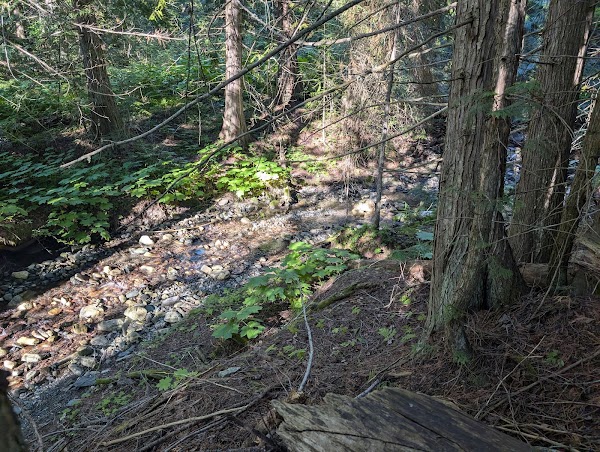 Upper BX Creek Trail 5