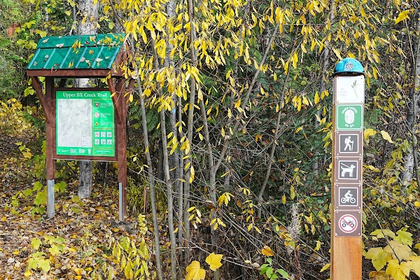 Upper BX Creek Trail 4