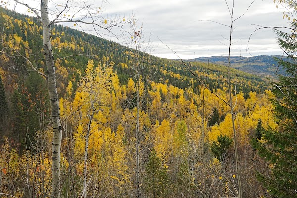 Upper BX Creek Trail 3