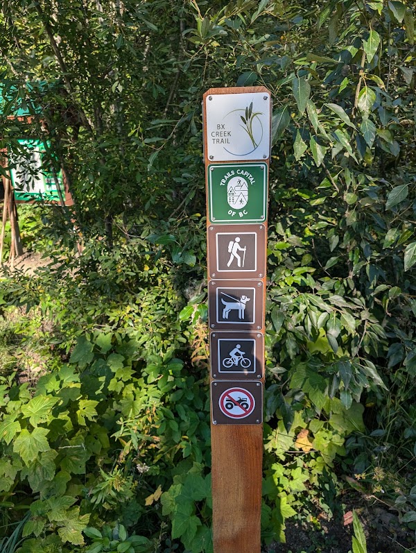 Upper BX Creek Trail 2