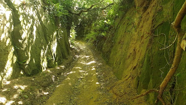 Hell Lane