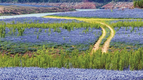 Muleshoe Bend Recreation Area