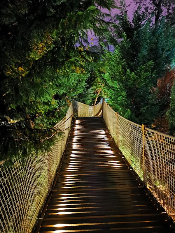 Yıldız Park 5