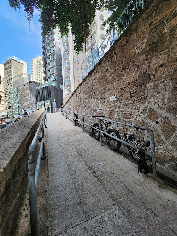 Bird Bridge