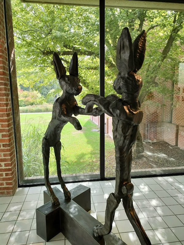 LaM, Lille Métropole Musée d'art moderne, d'art contemporain et d'art brut 4