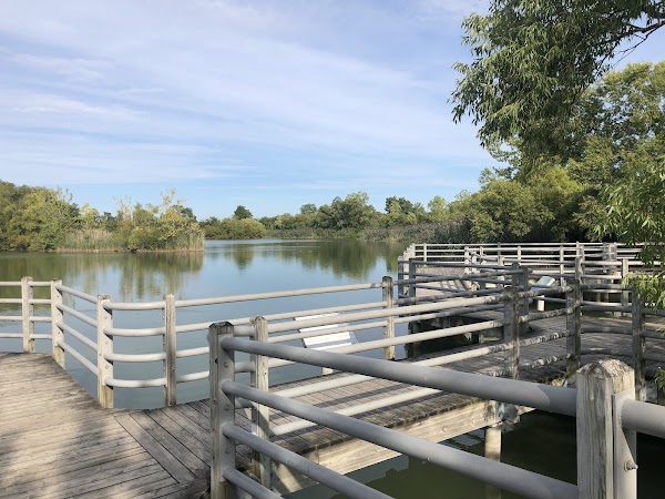 Glenridge Quarry Naturalization Site 4