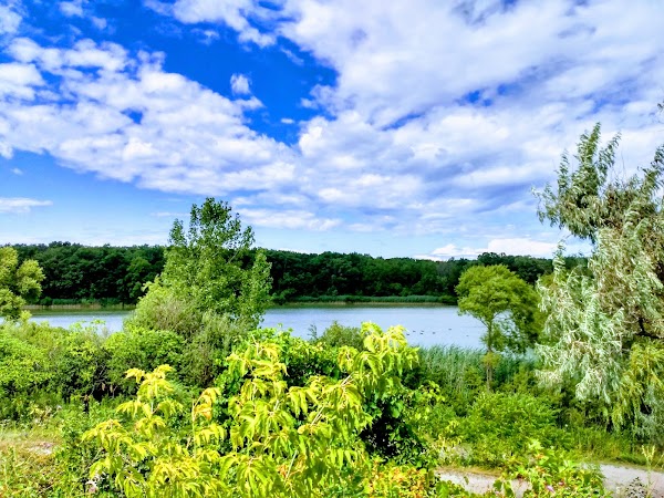 Glenridge Quarry Naturalization Site 2