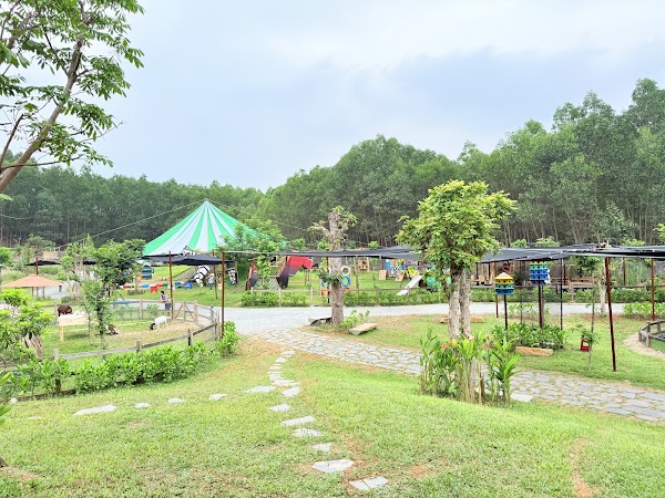 HOÀ PHÚ JUNGLE 4