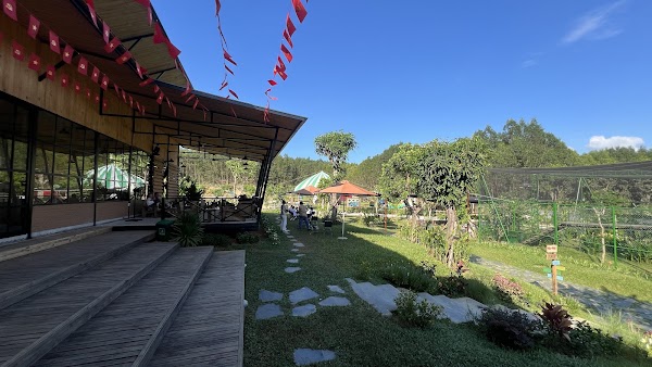 HOÀ PHÚ JUNGLE 2