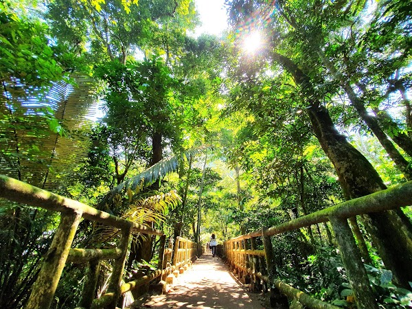 Cuc Phuong National Park 2