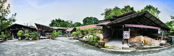 Thow Kwang Pottery Jungle