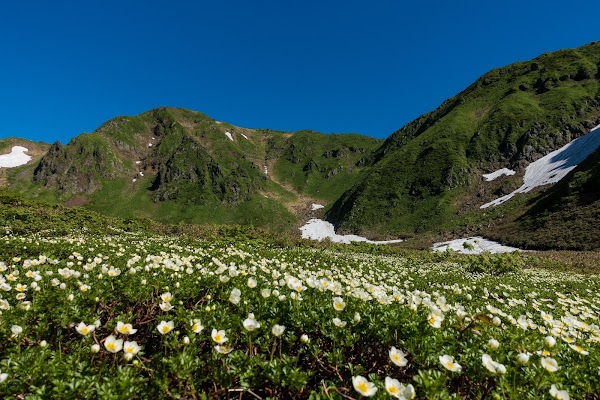 Moomin Valley