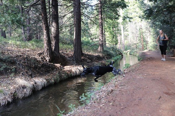 Main Tuolumne Ditch 5