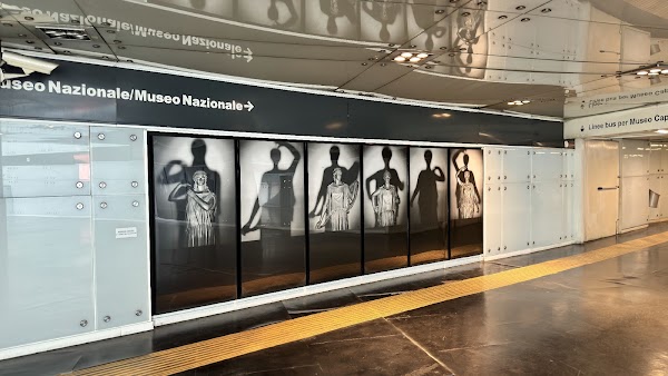 Museo 3