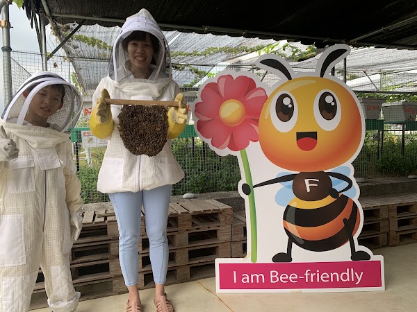 BEE AMAZED GARDEN 5
