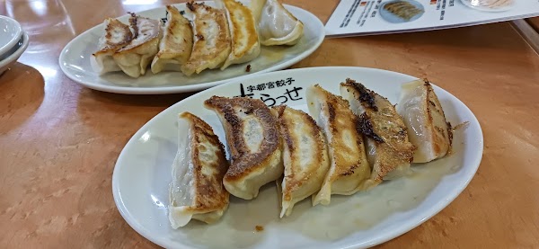 Utsunomiya Gyōza-kai Kirasse 4