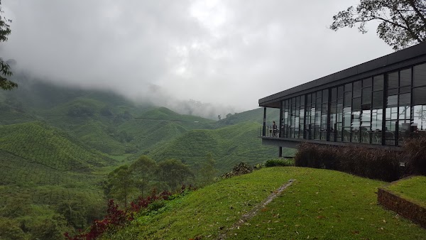 BOH Tea Centre 5