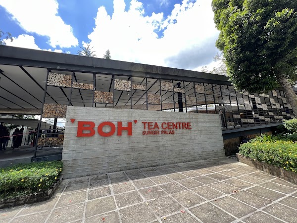 BOH Tea Centre 3