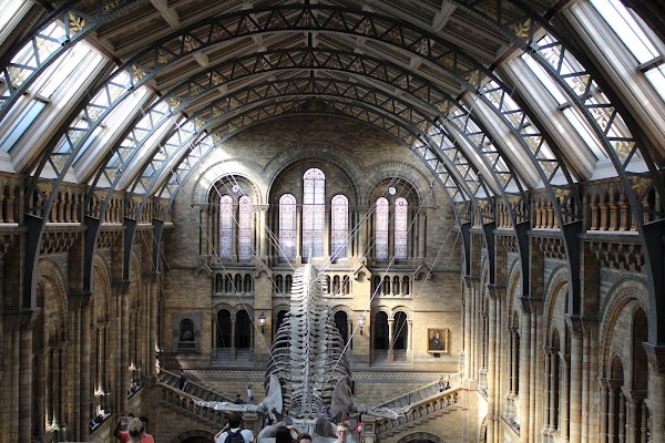 Natural History Museum 1