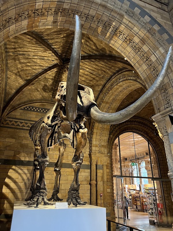 Natural History Museum 3