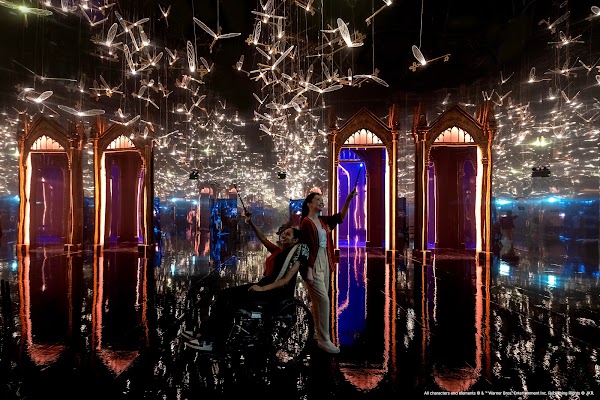 Harry Potter: Visions of Magic (Singapore) 4
