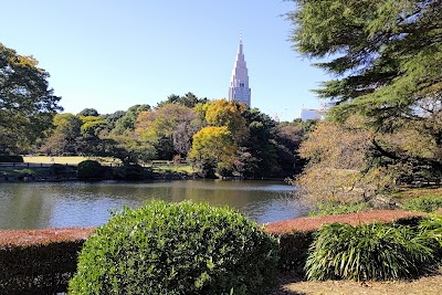Shinjuku Gyoen National Garden 2