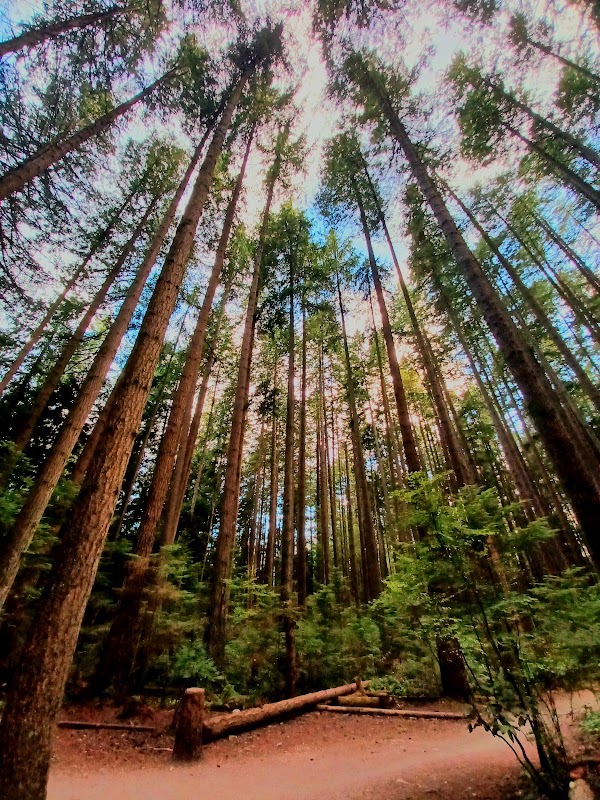 Sasamat Trail 1
