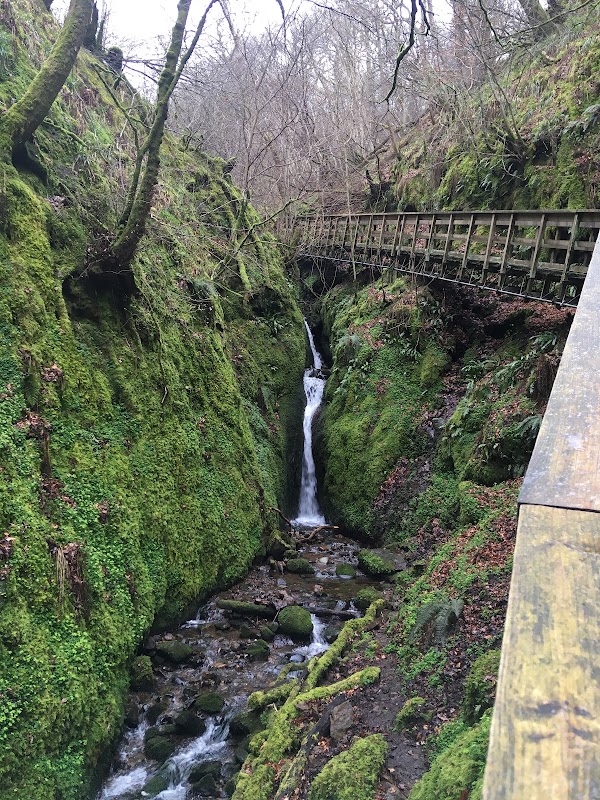 Dollar Glen (National Trust for Scotland) 5