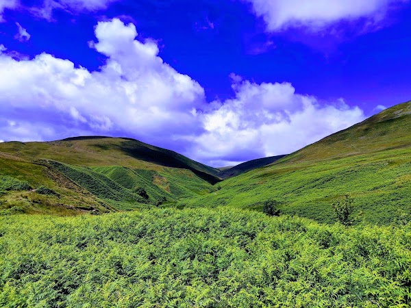Dollar Glen (National Trust for Scotland) 2