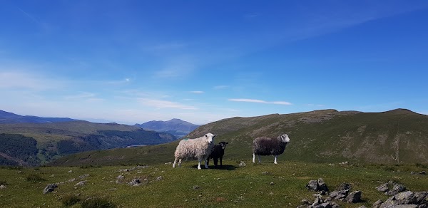 Seat Sandal 3