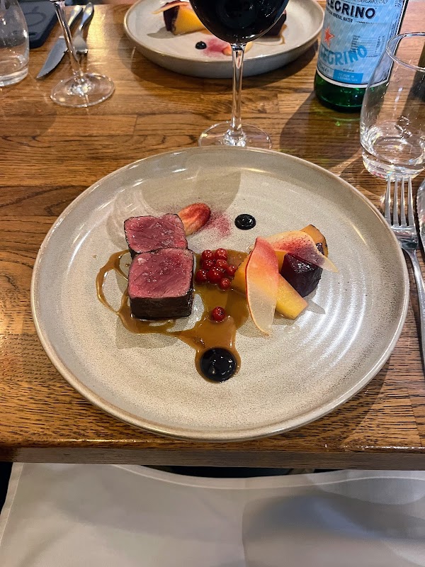 Volpe Nera 2