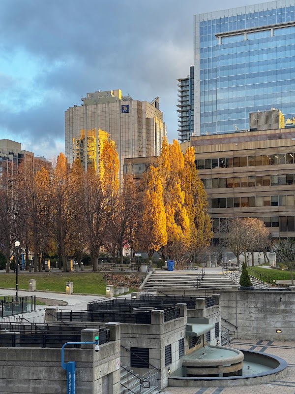 Mel Lastman Square