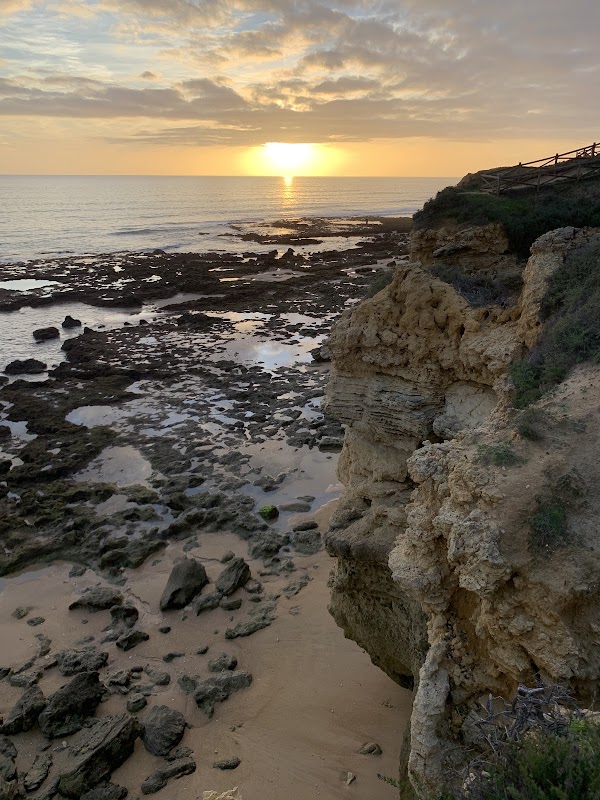 Algar 5