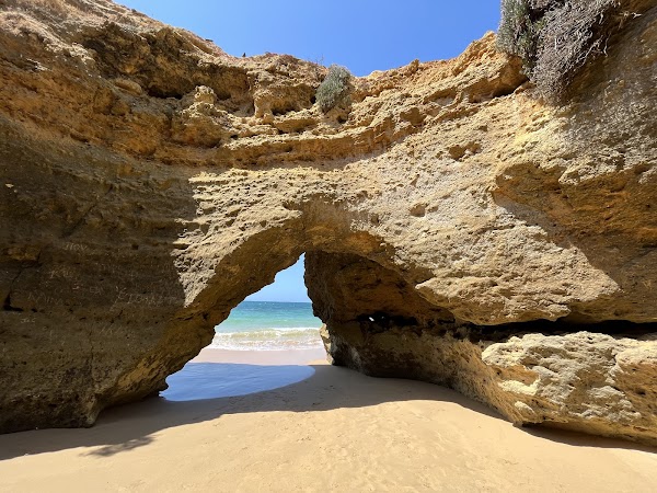 Algar 4